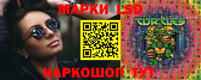 индика Будённовск
