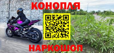 индика Будённовск