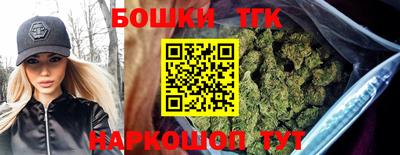 индика Будённовск