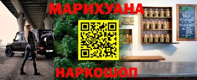 индика Будённовск