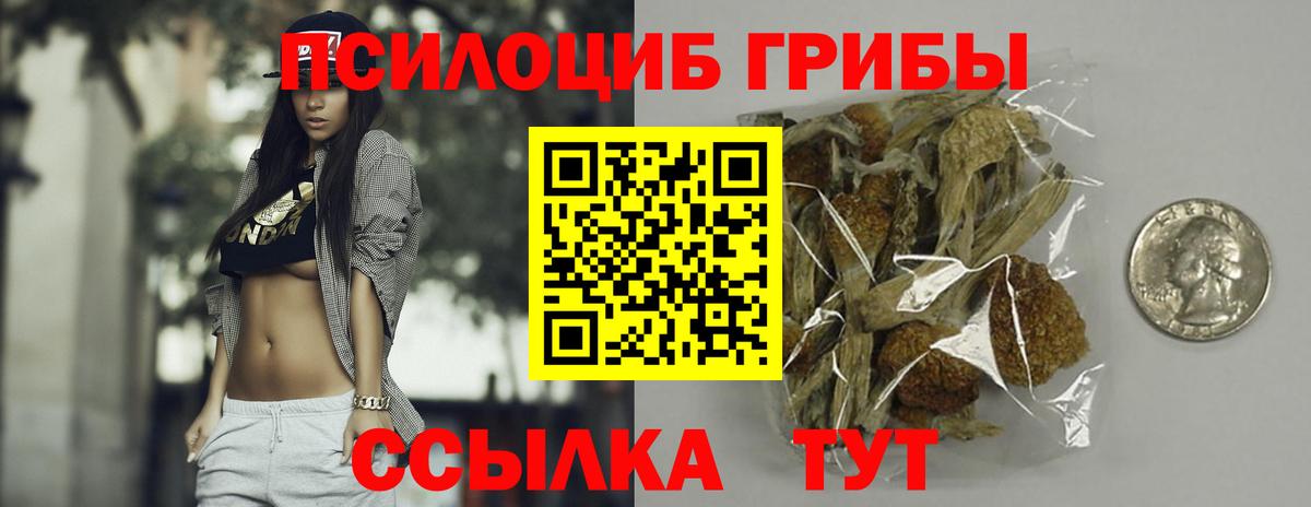 Галлюциногенные грибы Cubensis Кыштым